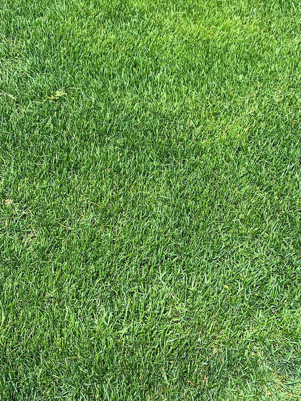 Two Putt